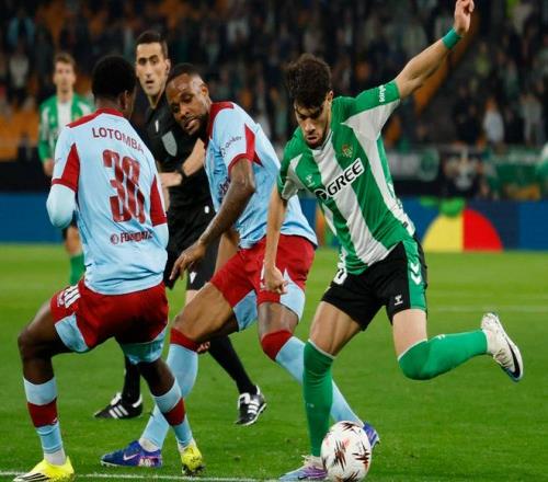 弗拉泰西社,交媒体表态,胜败观照团,永利皇宫app,永利皇宫app官方,永利皇宫app登录,永利皇宫app入口,永利皇宫app登录