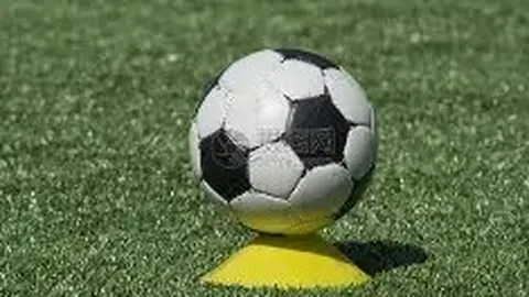 本地武术队竞赛表现优异，总教练褒奖：队员技艺与心理同步成长